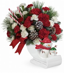 Send a Hug Open Sleigh Ride by Telelfora from Clifford's where roses are our specialty